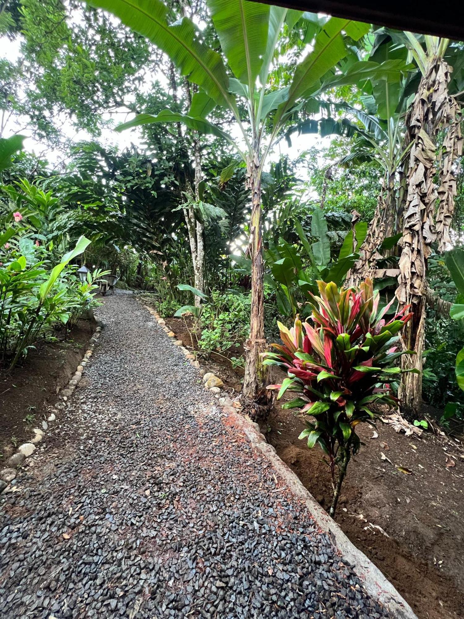 Arenal Rustic Lodge La Fortuna Екстериор снимка